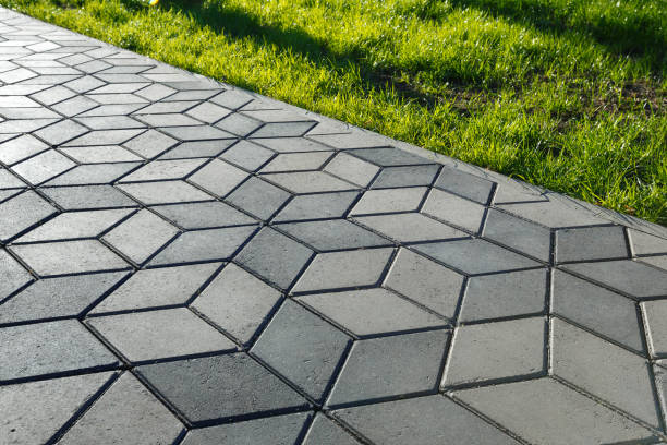 Best Driveway Paving Near Me  in Carrollton, MO