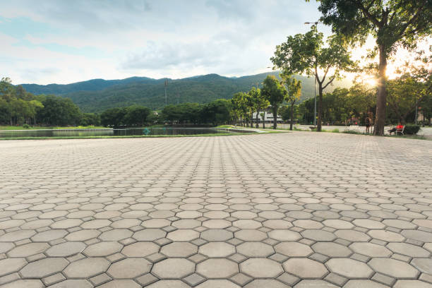 Best Driveway Paver Sealing  in Carrollton, MO